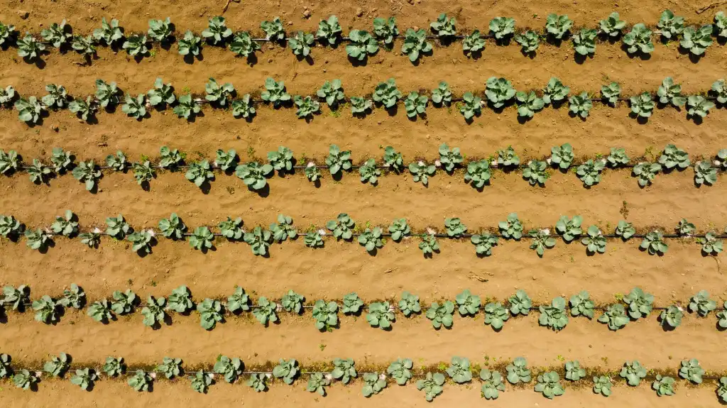西南地区室内照明节能升级：LED吸顶灯与筒灯选配指南