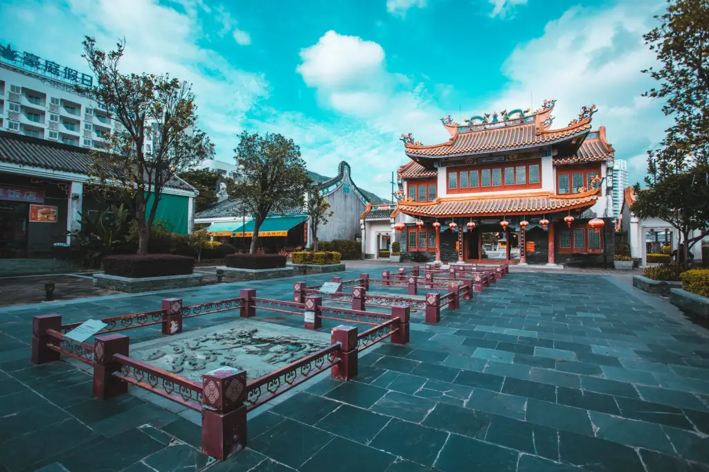 重庆道之源LED灯管与球泡灯性能对比及选型指南