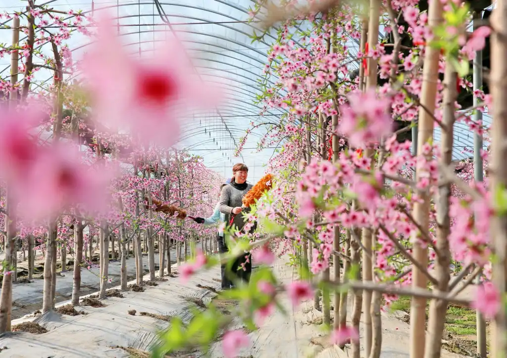重庆家庭照明节能改造：LED灯管与球泡灯选型指南