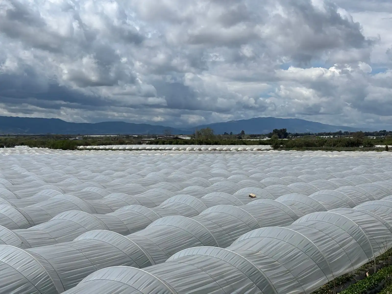 重庆道之源照明设备有限公司解析LED灯管与球泡灯节能差异及选型要点