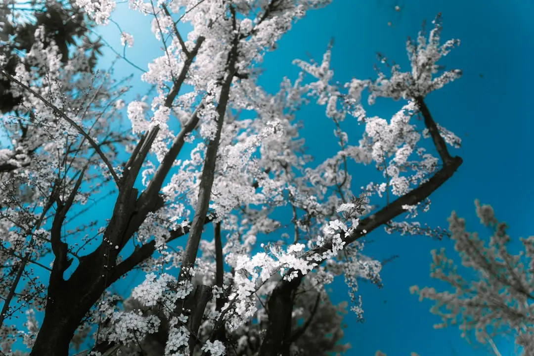 家庭照明节能升级：道之源LED吸顶灯与筒灯选购指南